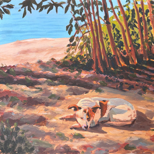 ‘Beach Dog Days’ Prints